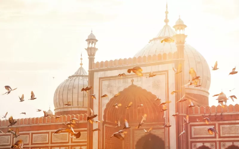 Itinerario India Con Udaipur